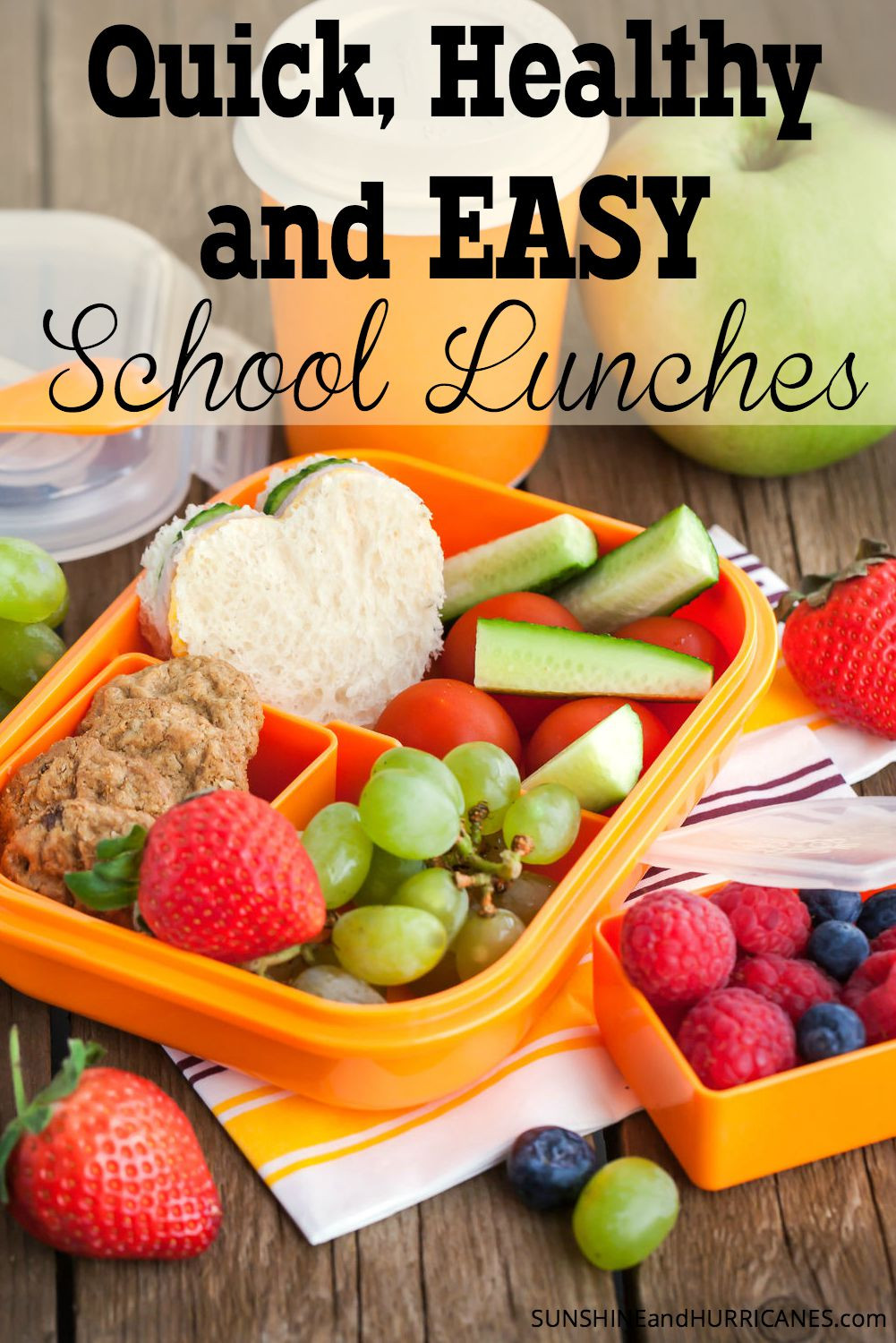 Quick Easy Healthy Lunches
 Healthy Quick and Easy School Lunches