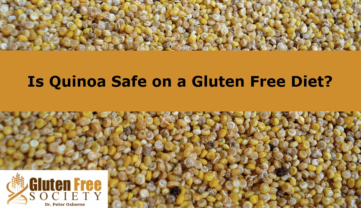 Quinoa Have Gluten
 Is Quinoa a Safe Gluten Free Food Alternative