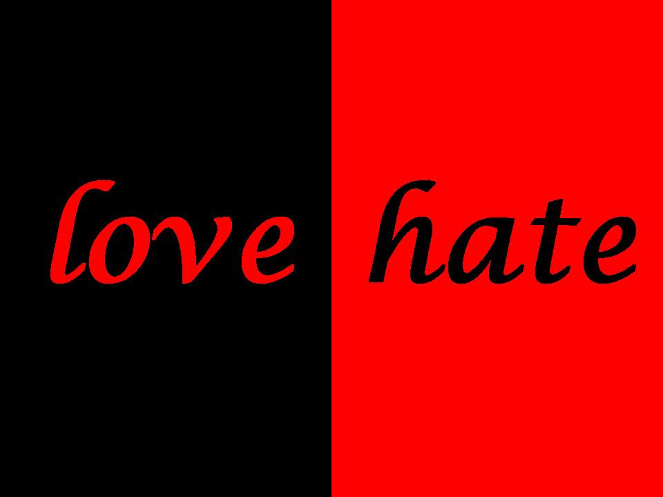Quote About Hating Love
 I Hate Love Quotes QuotesGram