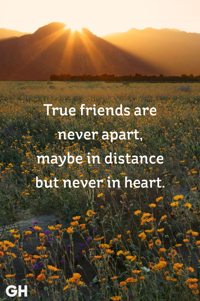 Quotes About Friendships
 25 Short Friendship Quotes to With Your Best Friend