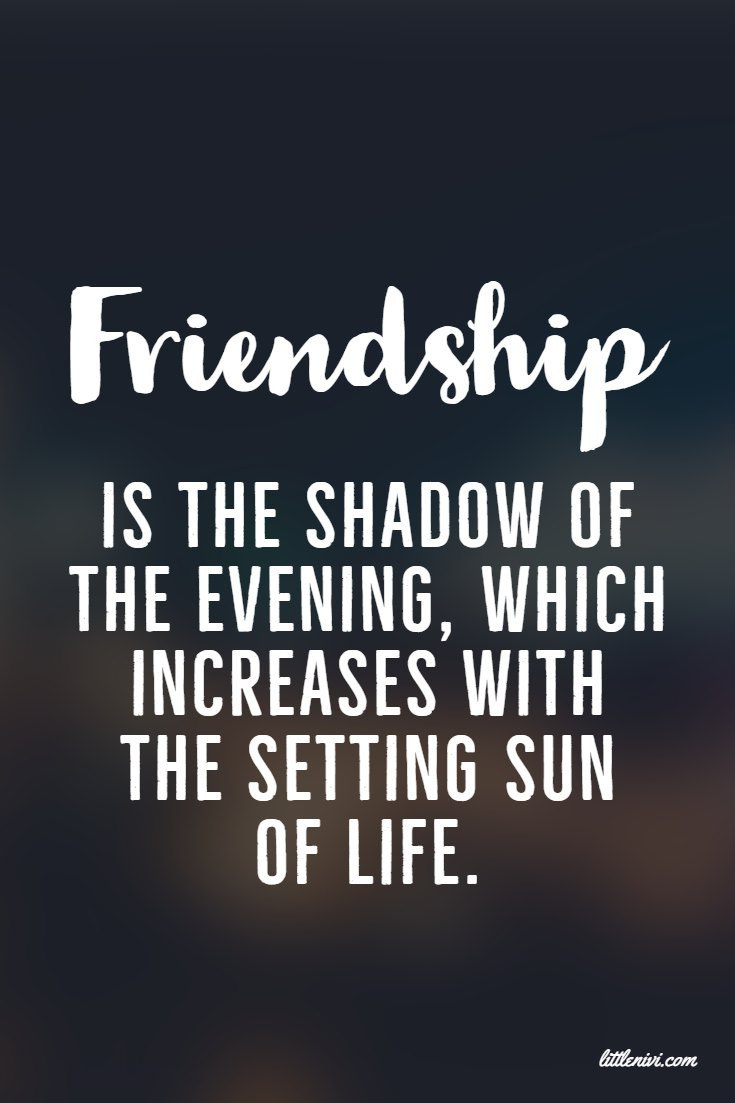 Quotes About Friendships
 27 Friendship Quotes That You And Your Best Friends
