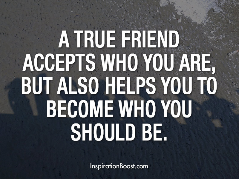 Quotes About Friendships
 FRIENDSHIP QUOTES image quotes at relatably