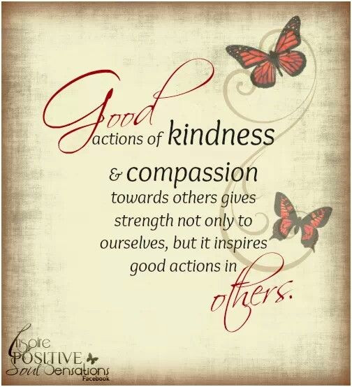 Quotes About Kindness And Compassion
 Quotes About Kindness And passion QuotesGram