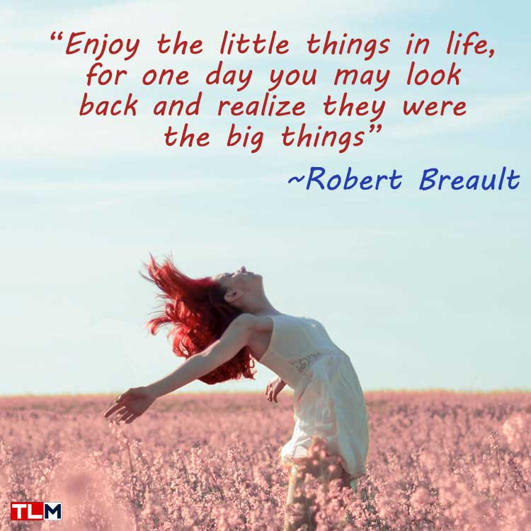 Quotes About Live Your Life
 Top 51 Live Life Quotes About Living Life to the Fullest