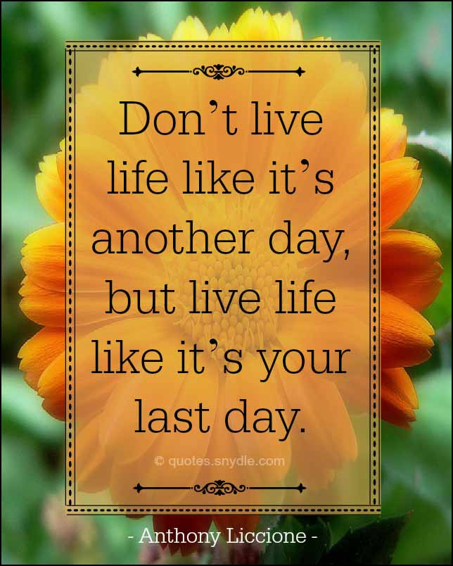 Quotes About Live Your Life
 Live Your Life Quotes with Image Quotes and Sayings