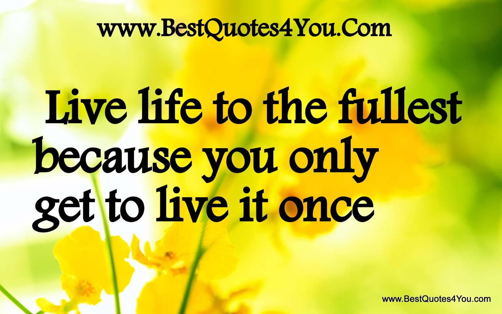 Quotes About Live Your Life
 Live Life Quotes Living Life To The Full Quotes s