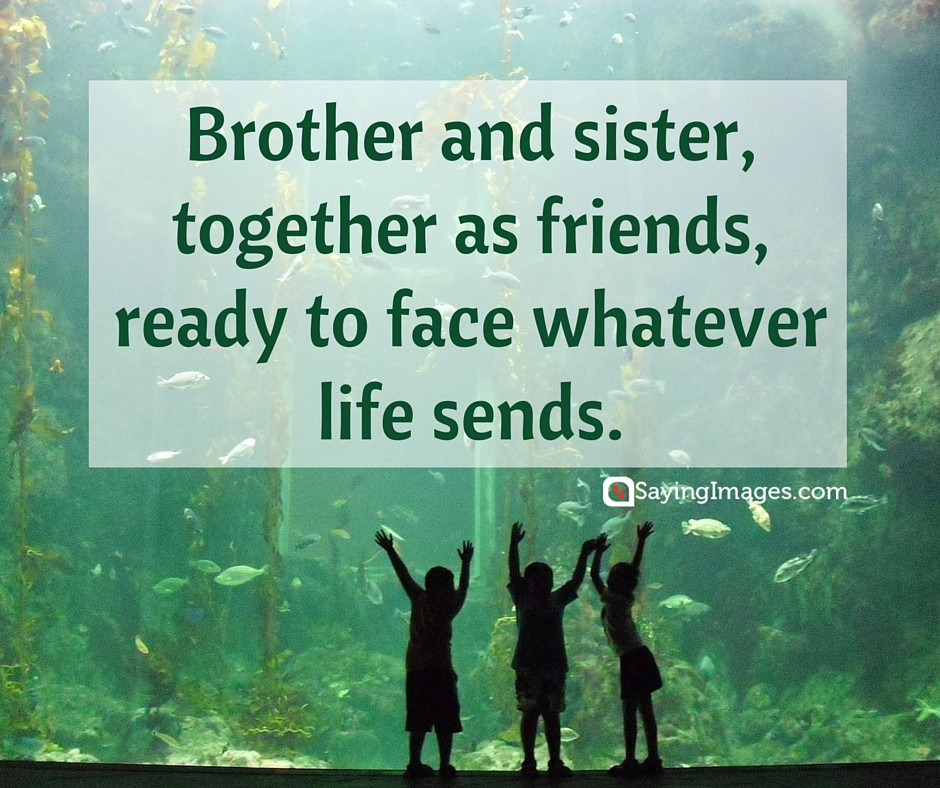 Quotes About Sibling Love
 35 Sweet and Loving Siblings Quotes