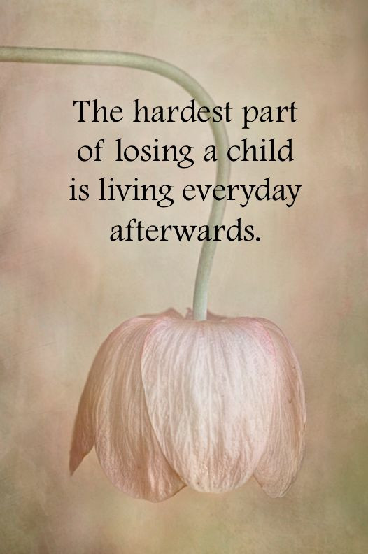 Quotes On Loss Of A Child
 346 best images about Loss of Child Sympathy on Pinterest