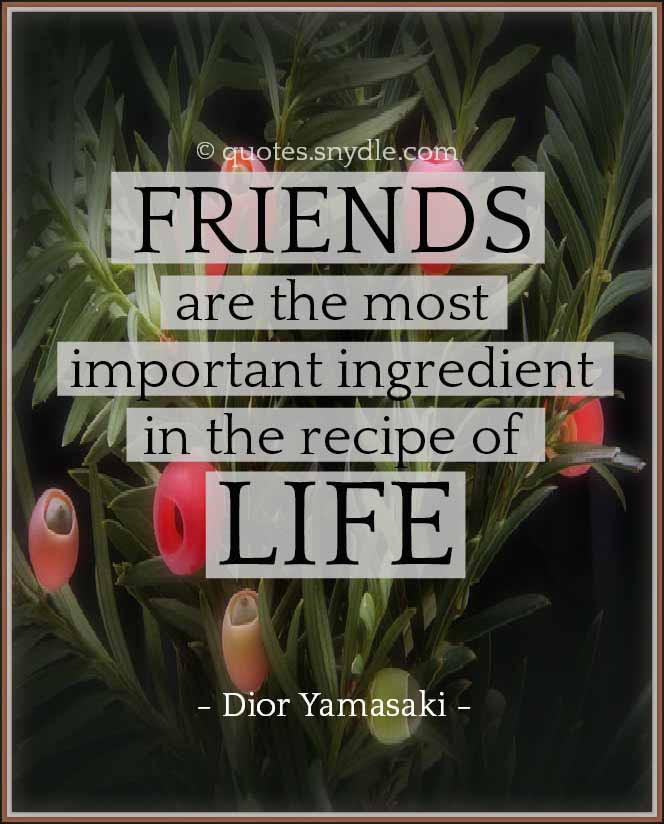Quotes On New Friendships
 New Friendship Quotes with Image – Quotes and Sayings
