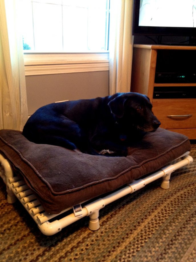 Raised Dog Bed DIY
 22 Best Ideas Diy Elevated Dog Beds Best DIY Ideas and