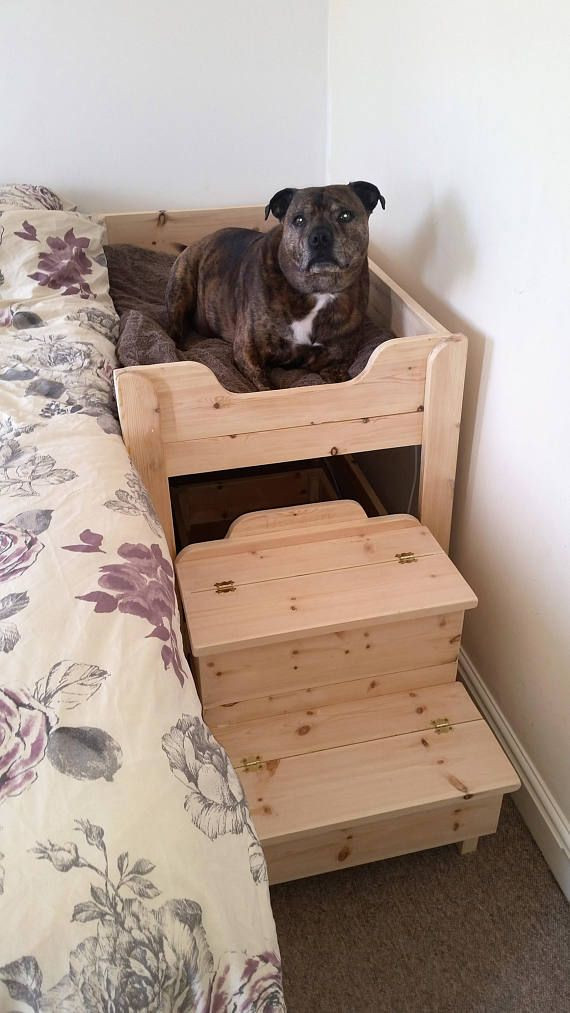 Raised Dog Bed DIY
 The 25 best Raised dog beds ideas on Pinterest