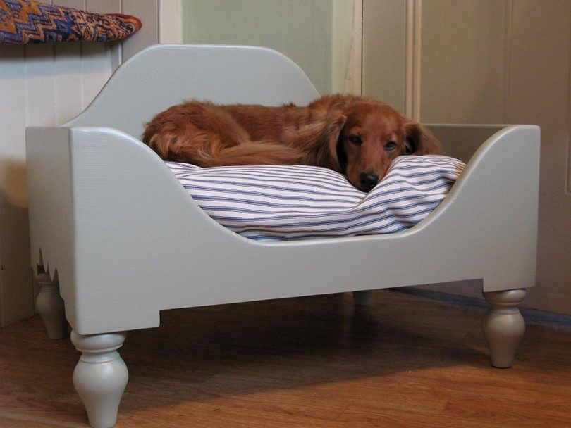 Raised Dog Bed DIY
 DIY Dog Bed Project How to Make a Homemade Dog Bed