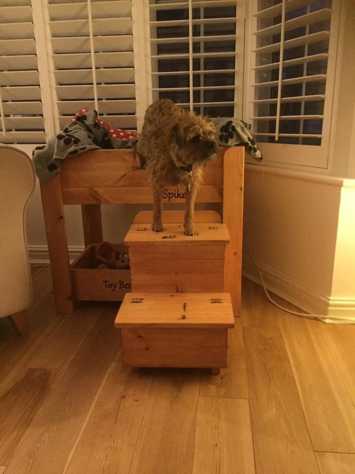 Raised Dog Bed DIY
 Handcrafted wooden dog bed the Spike Curtain Twitcher