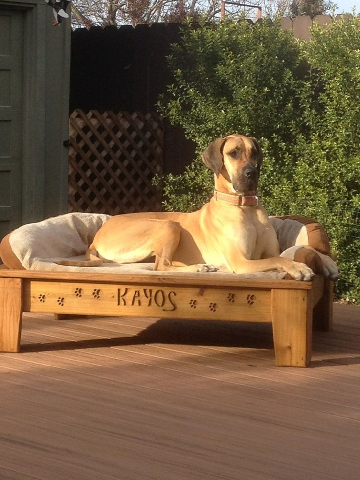 Raised Dog Bed DIY
 raised dog bed diy Google Search