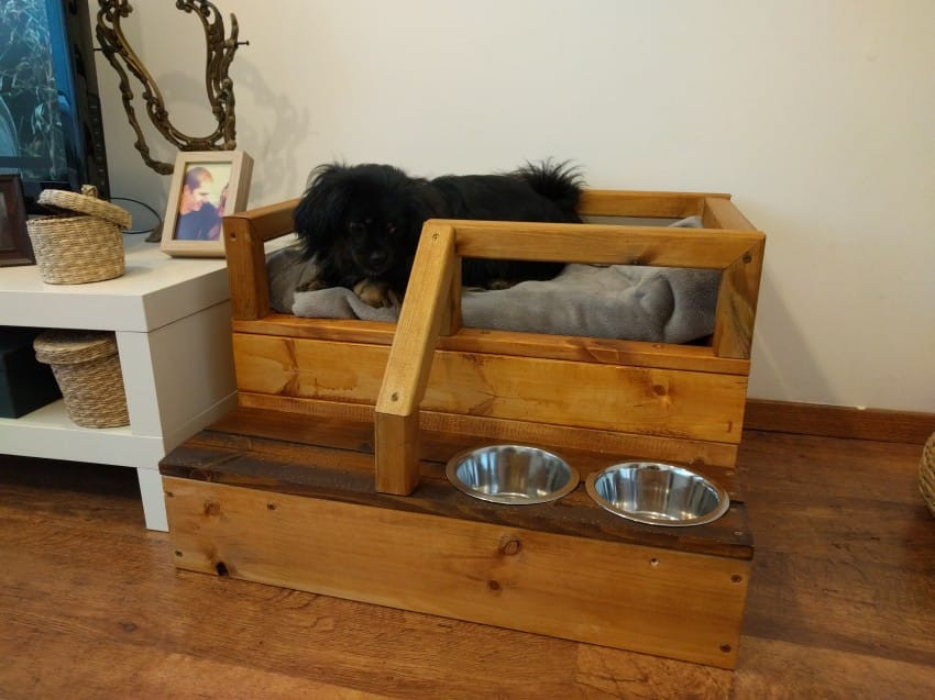 Raised Dog Beds DIY
 Dad Gives Him Leftover Scraps Wood How He Transforms