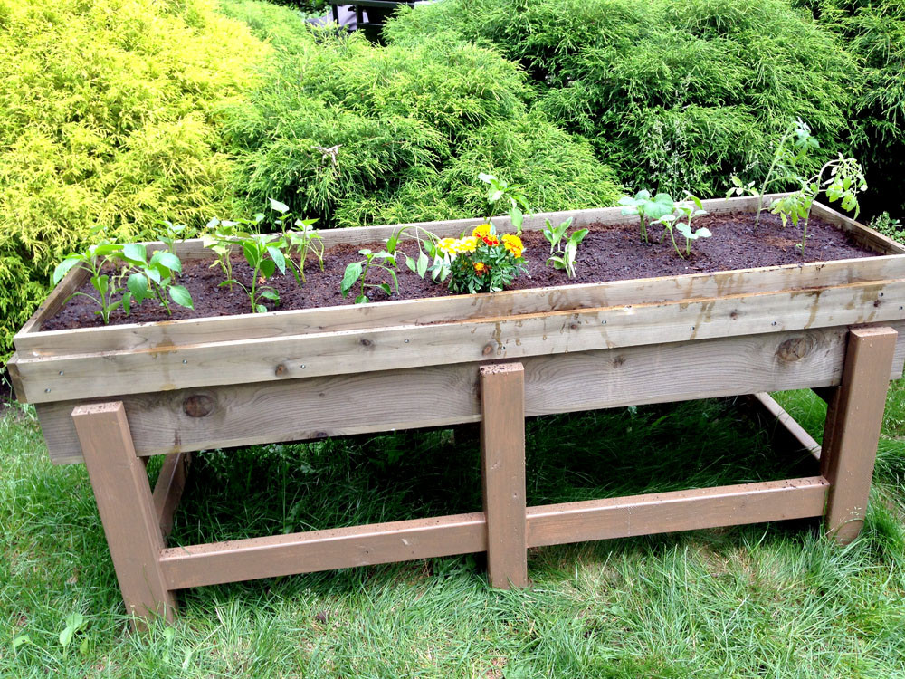 Raised Planter Boxes DIY
 DIY Planter Box for the Garden Tutorial Tips and Tricks