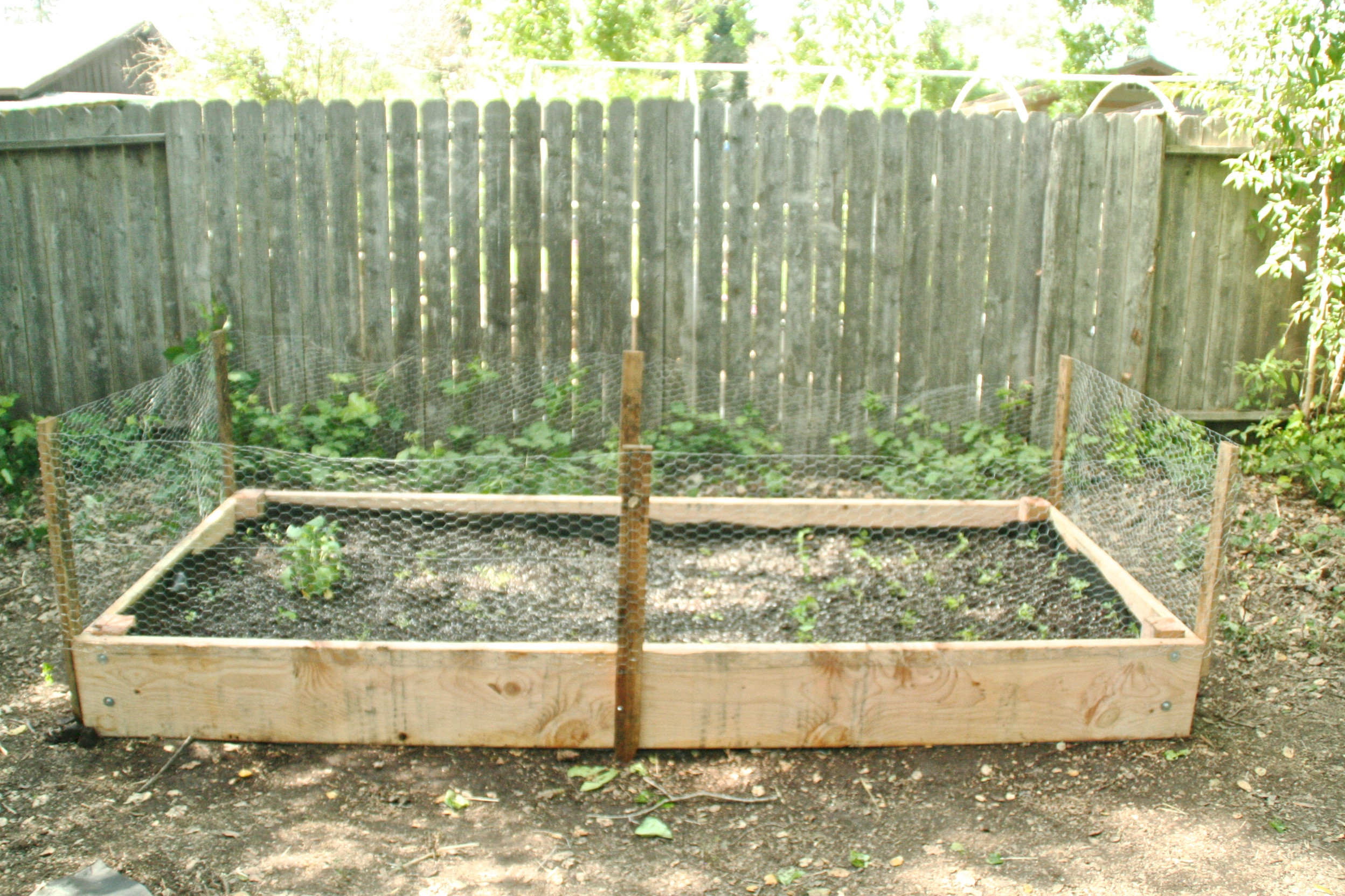 Raised Planter Boxes DIY
 how to build a wooden raised bed planter box dear