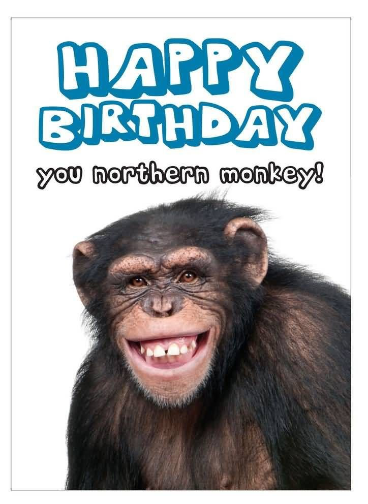 Really Funny Birthday Cards
 Birthday Cards for your Family & Friends Happy