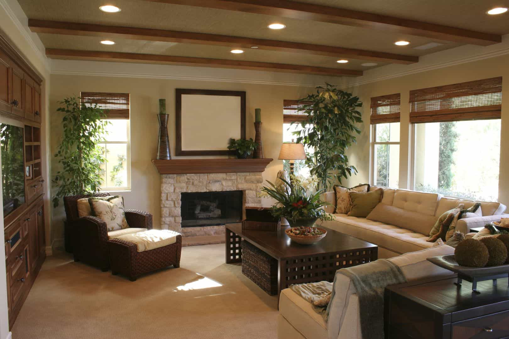Recessed Lights Living Room
 Living Room With Tall Houseplants And Recessed Lighting