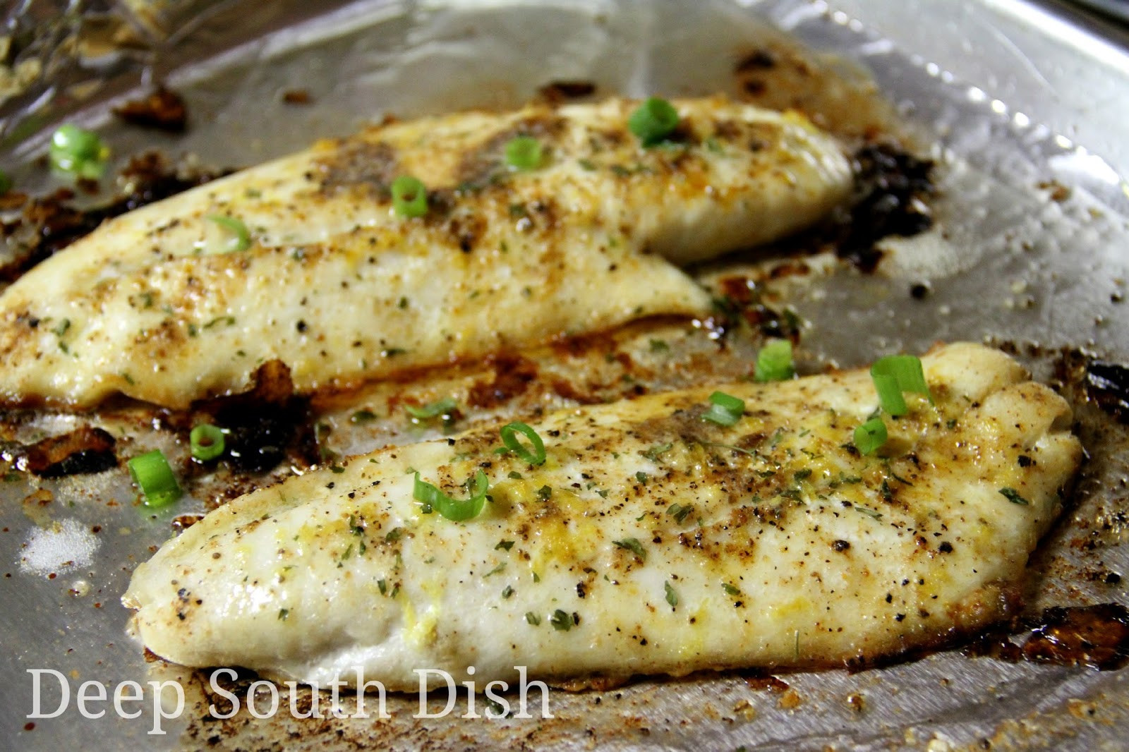 Recipes For Baked Fish Fillets
 Deep South Dish Baked Fish