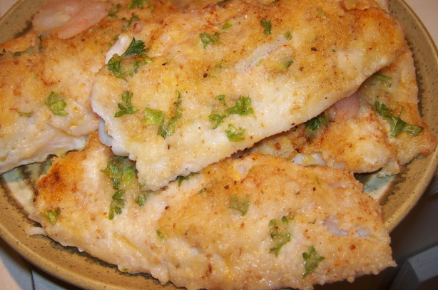 Recipes For Baked Fish Fillets
 Oven Baked Fish Fillets With Parmesan Cheese Recipe Food