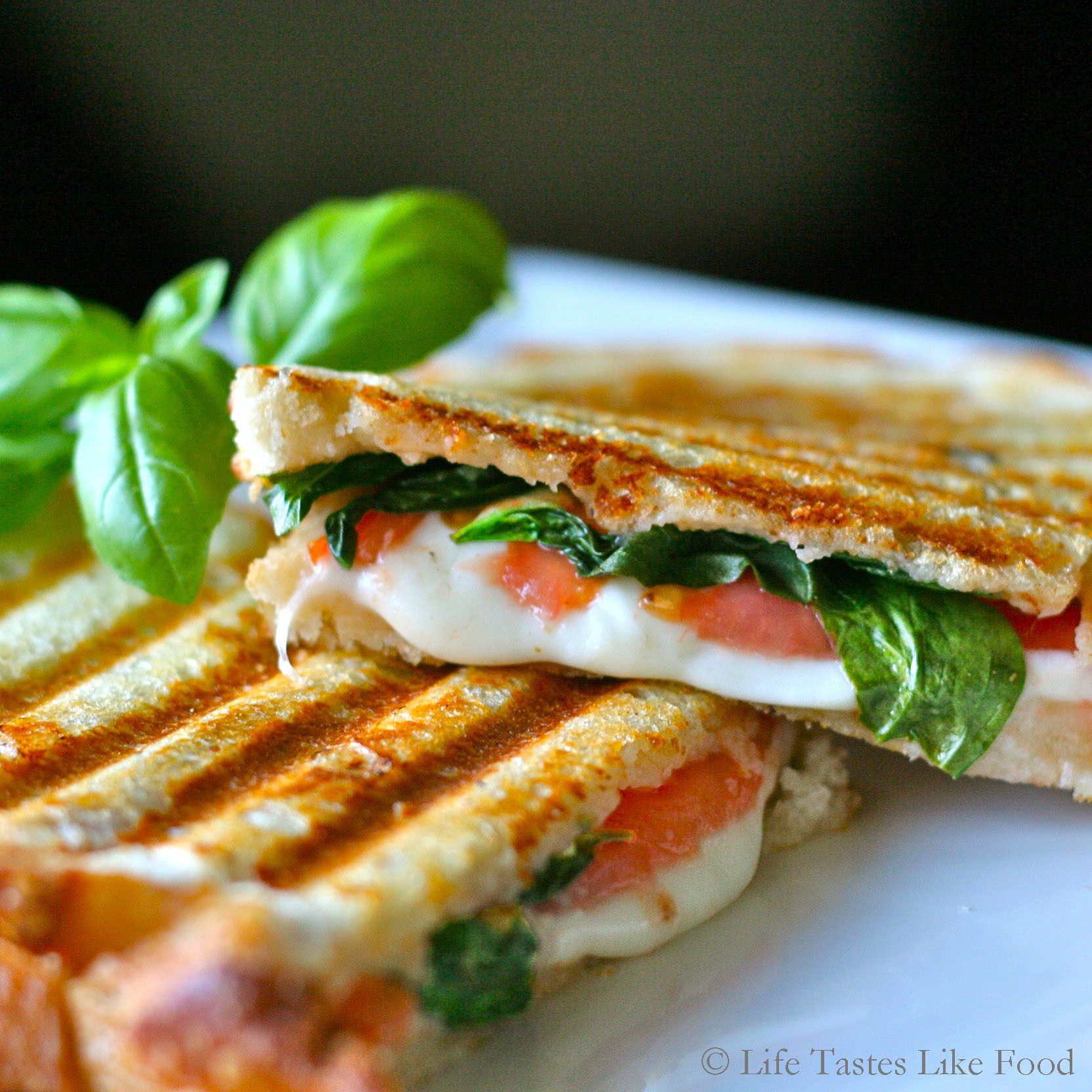 Recipes For Panini Sandwiches
 Easy Healthy Recipe Italian Panini