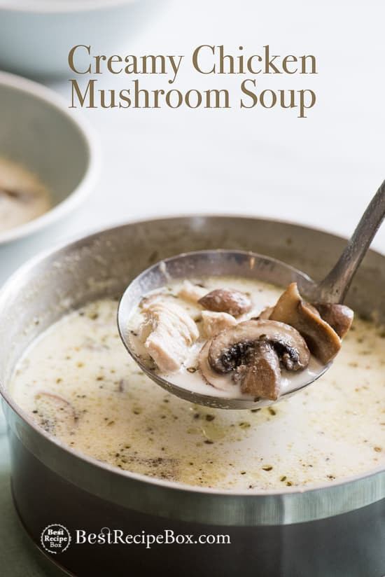 Recipes Using Cream Of Mushroom Soup And Chicken
 Creamy Chicken Mushroom Soup