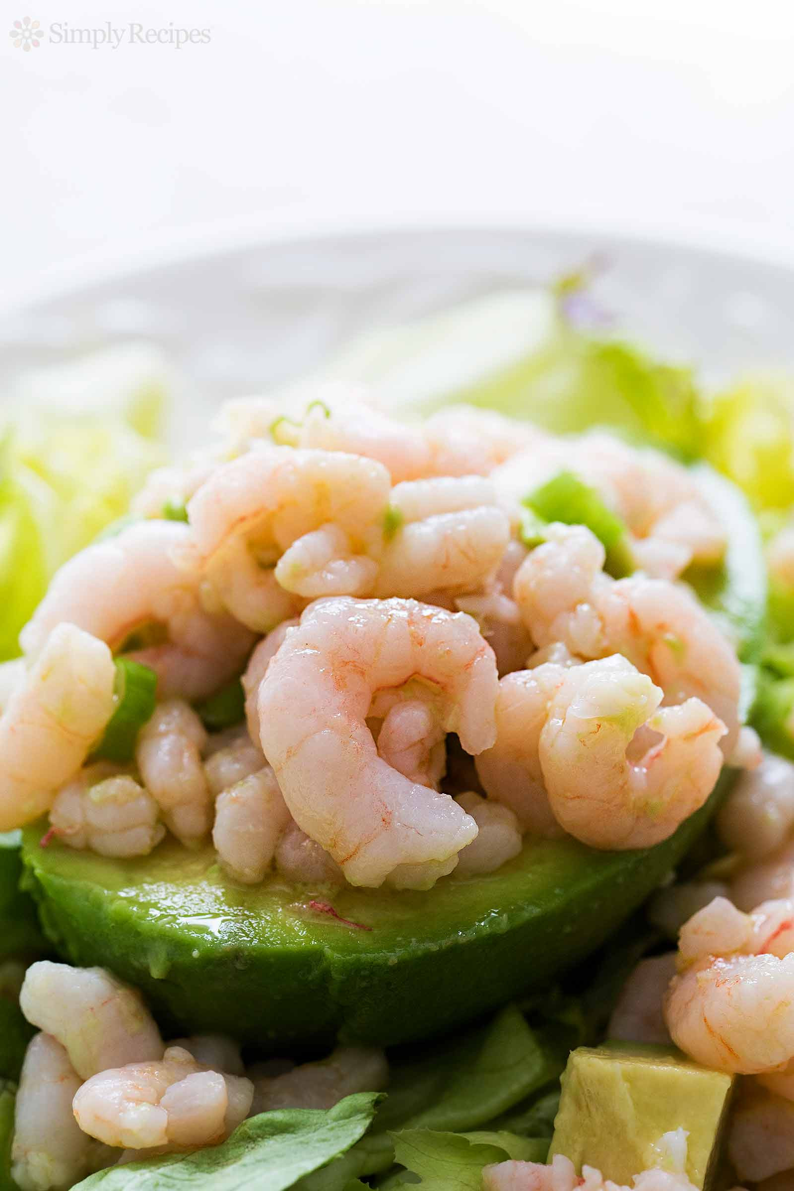 Recipes Using Salad Shrimp
 Bay Shrimp and Avocado Salad Recipe