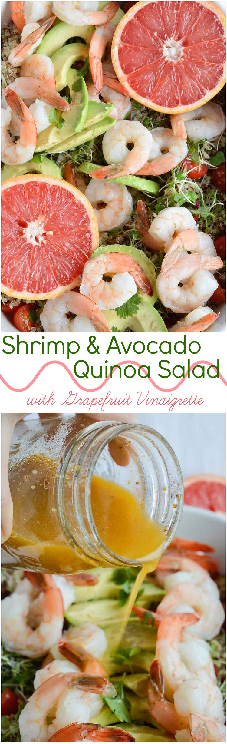 Recipes Using Salad Shrimp
 Shrimp Avocado Salad WonkyWonderful