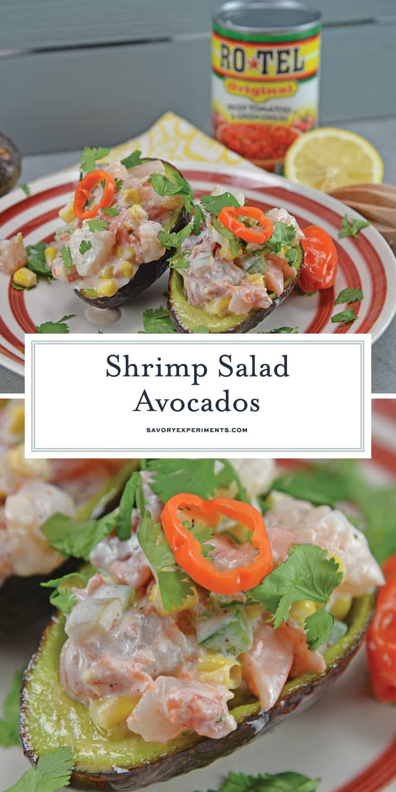Recipes Using Salad Shrimp
 Shrimp Salad Avocados