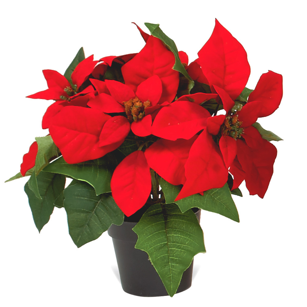 Red Christmas Flower
 Artificial poinsettia plants in pot