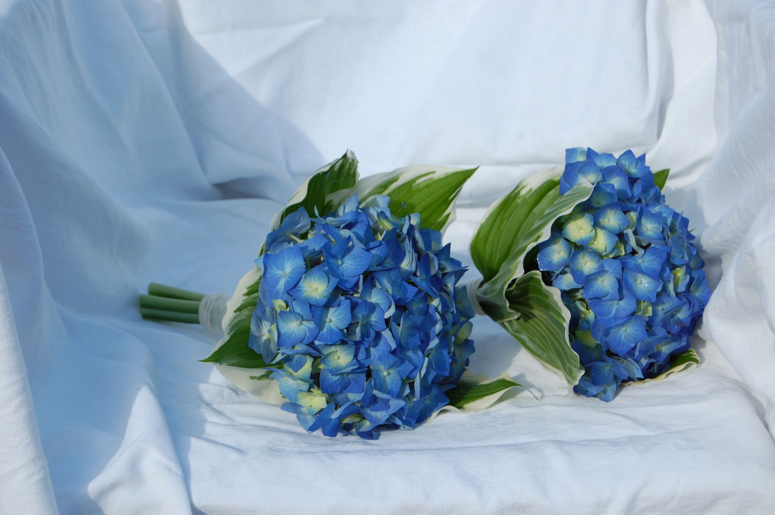 Royal Blue Flowers For Wedding
 Royal Blue Wedding Flower s Preweddings and Weddings