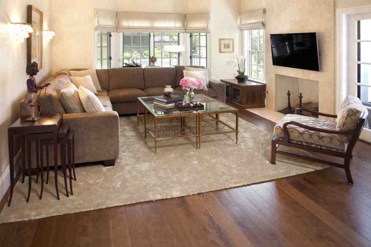 Rug Living Room
 Rugs for Cozy Living Room Area Rugs Ideas