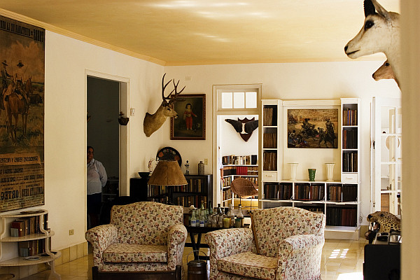 Safari Decor For Living Room
 Decorating With a Safari Theme 16 Wild Ideas
