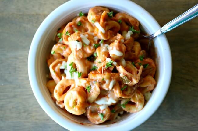 Salsa Alfredo Recipe
 Slow Cooker Alfredo Salsa Tortellini 365 Days of Slow