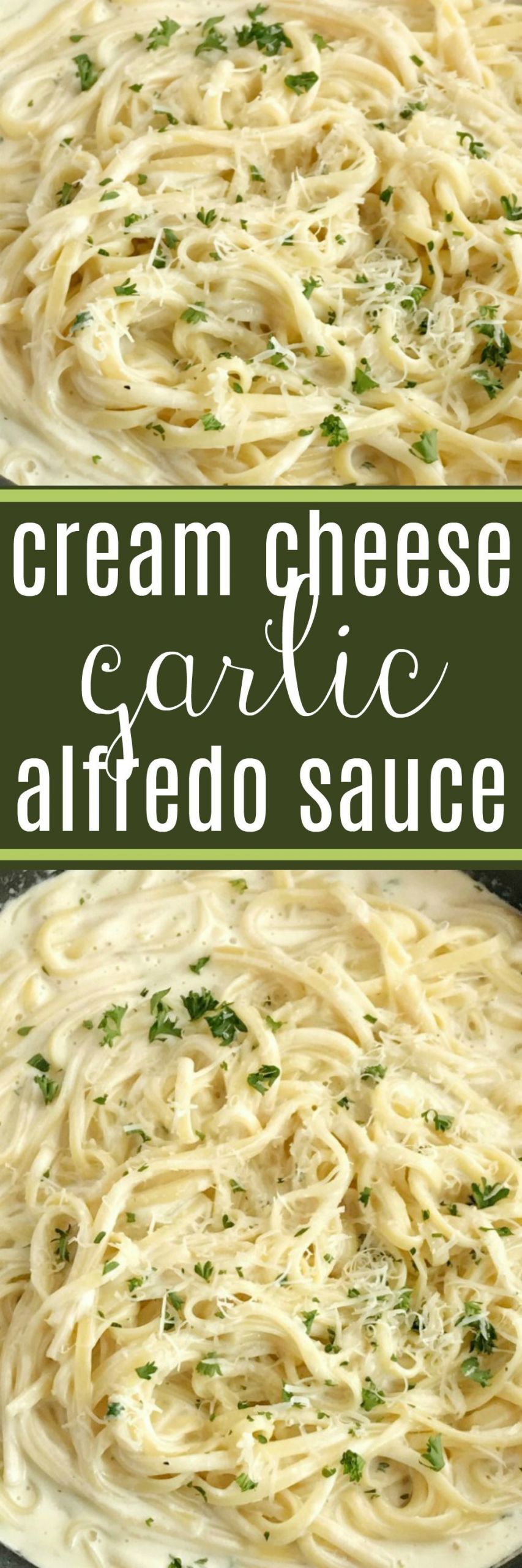 Salsa Alfredo Recipe
 Cream Cheese Garlic Alfredo Sauce
