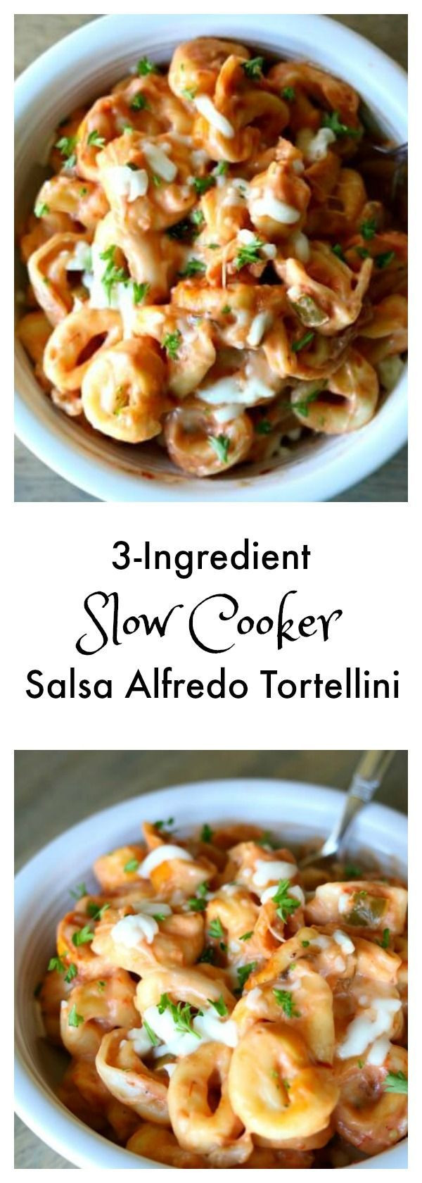Salsa Alfredo Recipe
 Slow Cooker Alfredo Salsa Tortellini Recipe