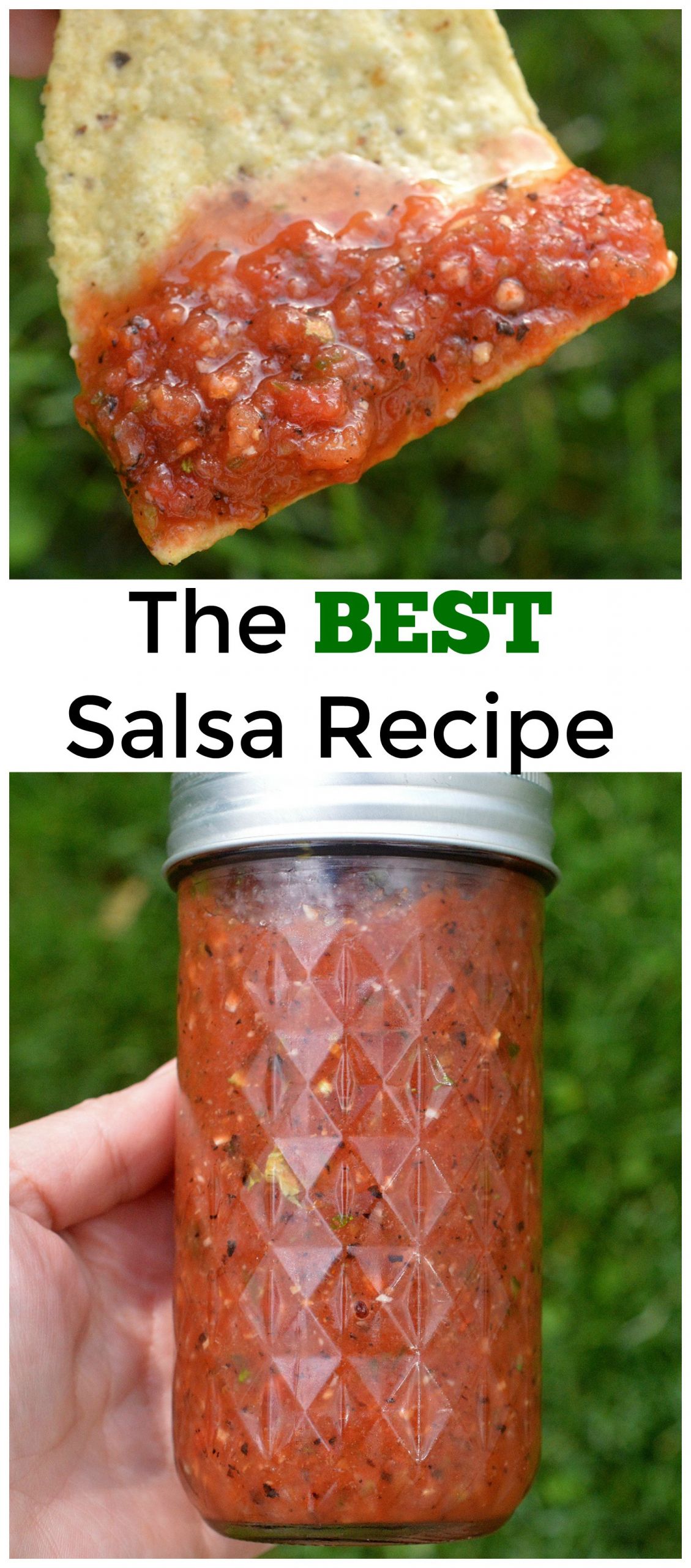 Salsa Canning Recipe
 The BEST and Easiest Salsa Recipe