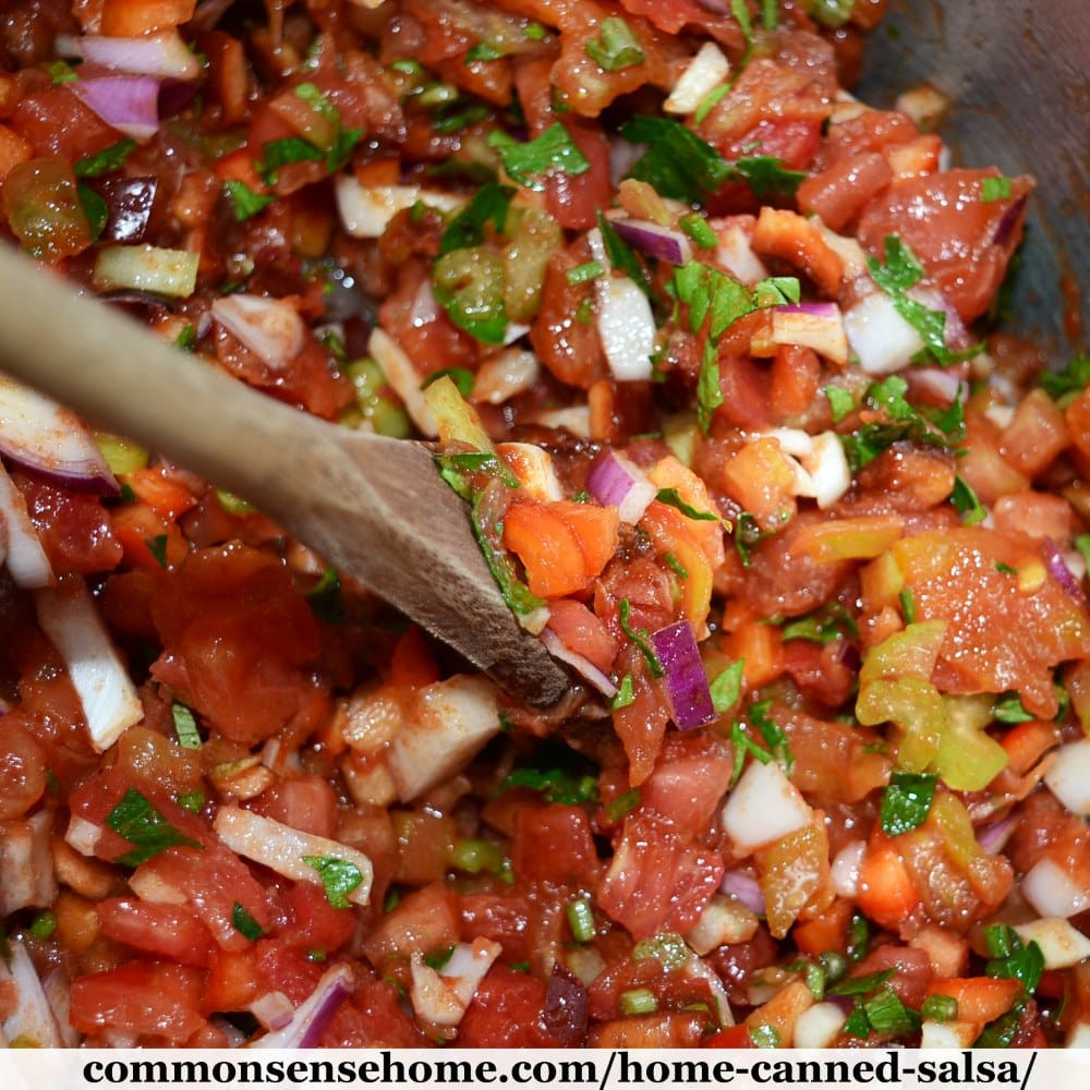 Salsa Canning Recipe
 Home Canned Salsa Recipe Plus 10 Tips for Canning Salsa