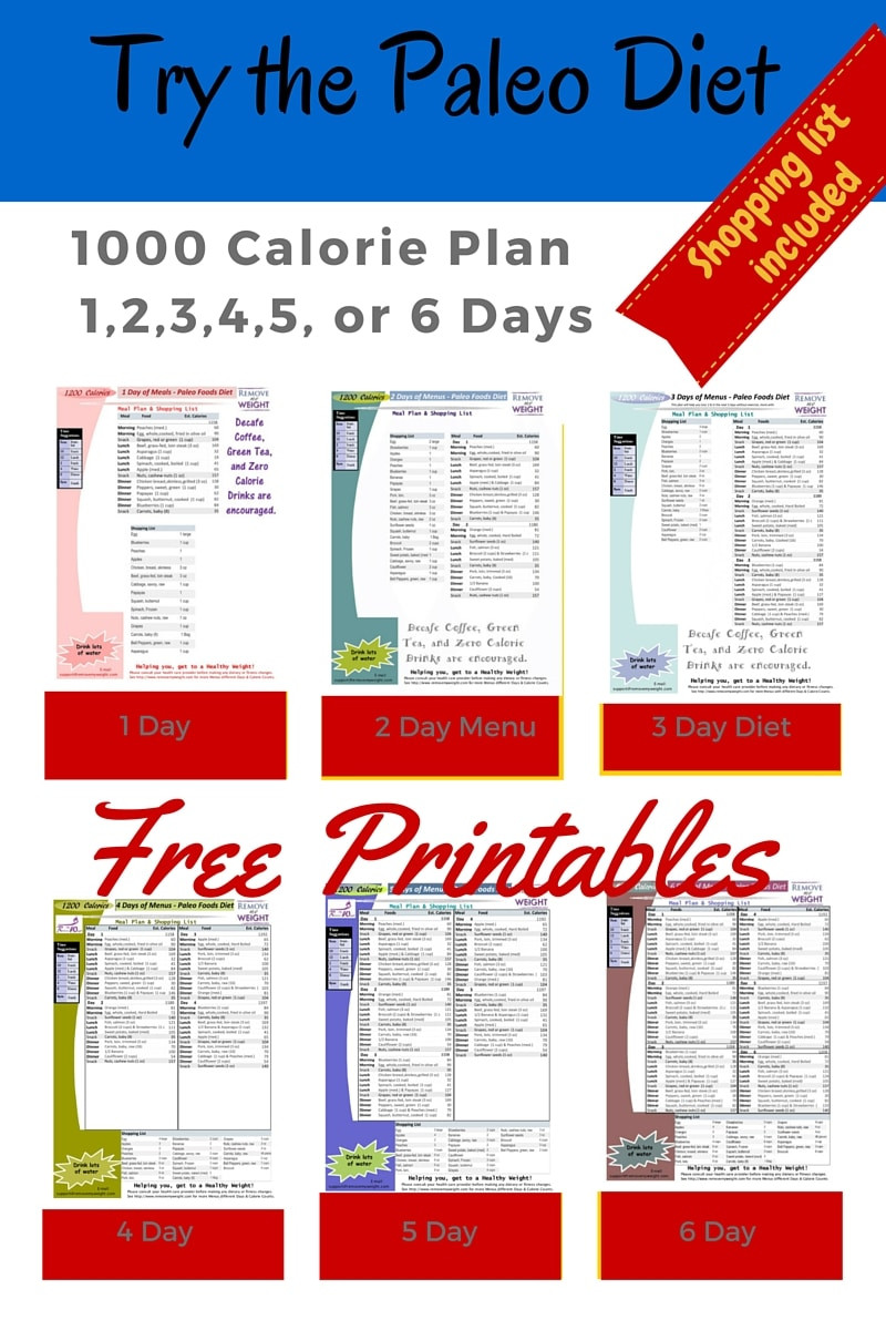 Sample Paleo Diet
 Paleo Diet 1000 Calories Per Day Menu Plan for Weight Loss