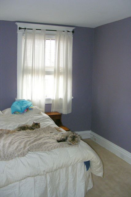 Samples Of Bedroom Paint Colors
 Behr Gothic Amethyst