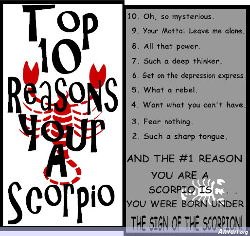 Scorpio Birthday Quotes
 Scorpio Birthday Quotes QuotesGram