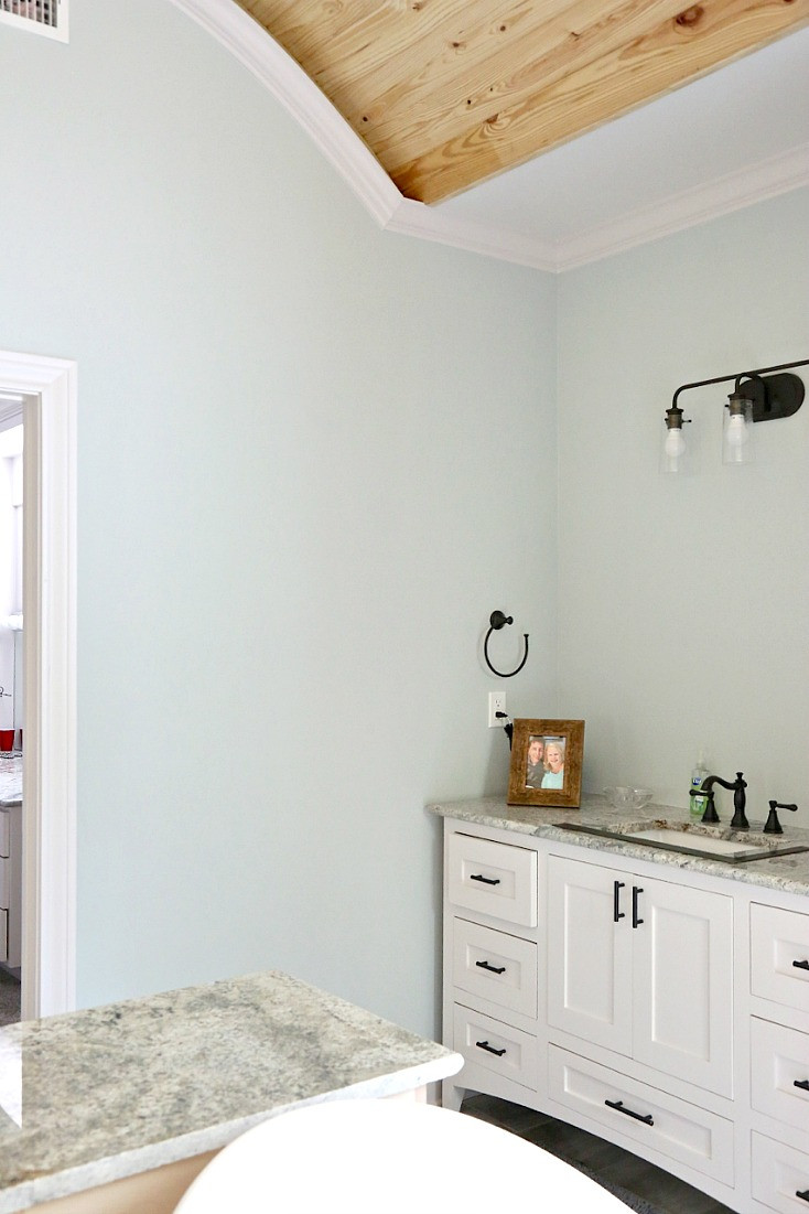 Sea Salt Paint Bathroom
 Tips for Choosing Whole Home Paint Color Scheme