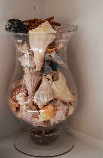 Seashell Bathroom Decor
 186 best Beautiful Sea Shell images on Pinterest