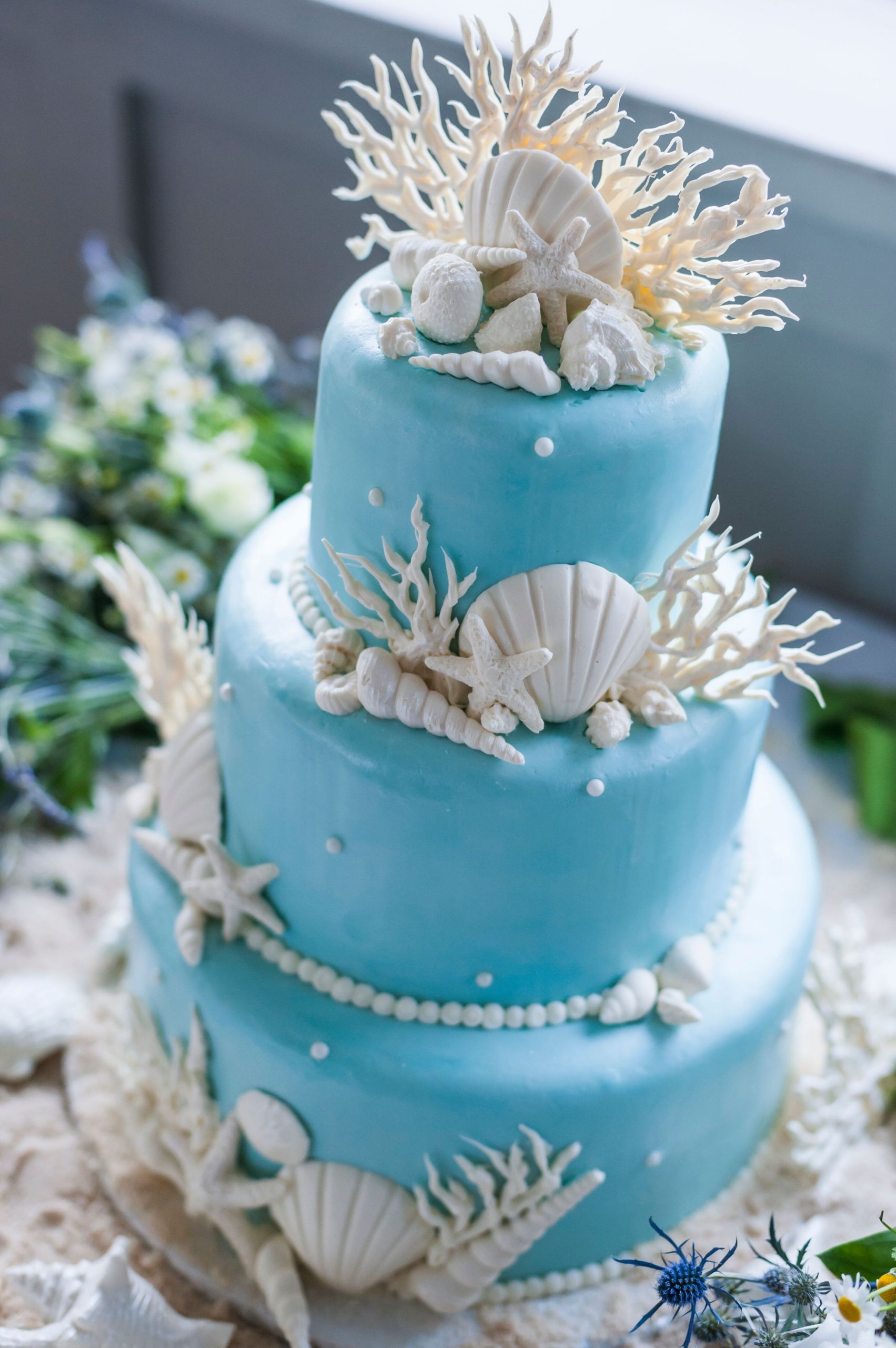 Seashell Wedding Cake
 White Seashell and Coral Decorated Blue Wedding Cake