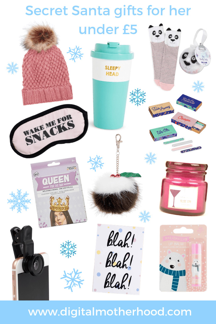 Secret Santa Gift Ideas For Girls
 Secret Santa Gift Ideas For Everyone Any Bud