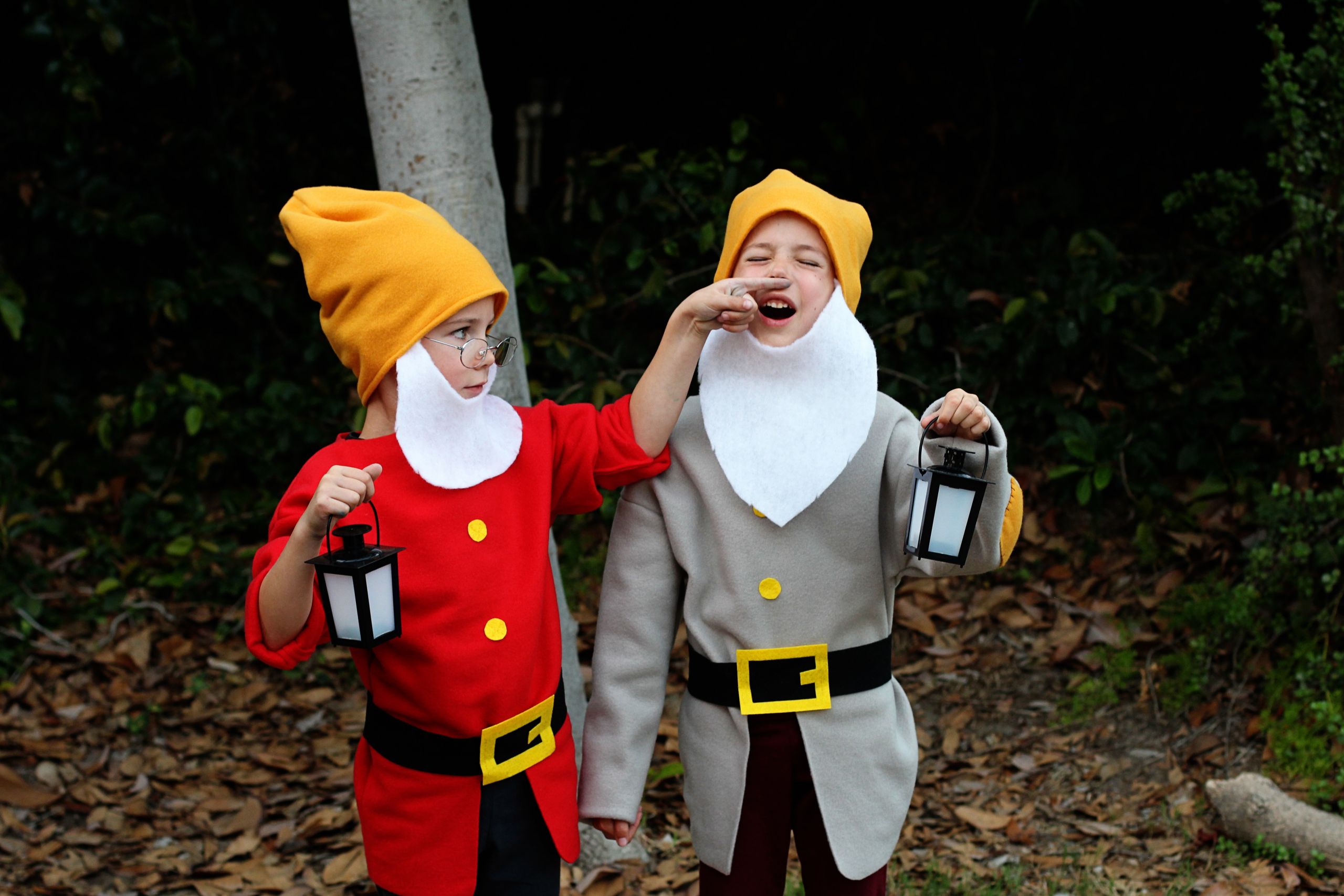 Seven Dwarfs Costumes DIY
 IMG 4229b