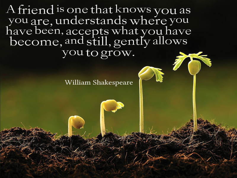 Shakespeare Quotes Friendship
 William Shakespeare Quote About Friendship Awesome