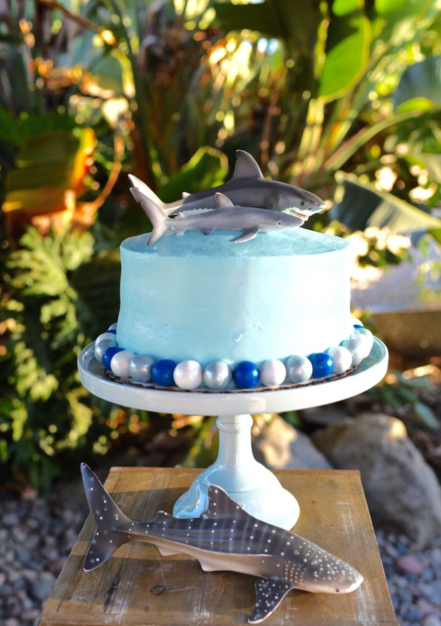 Shark Birthday Cakes
 Shark Birthday Party Fun Make Life Lovely