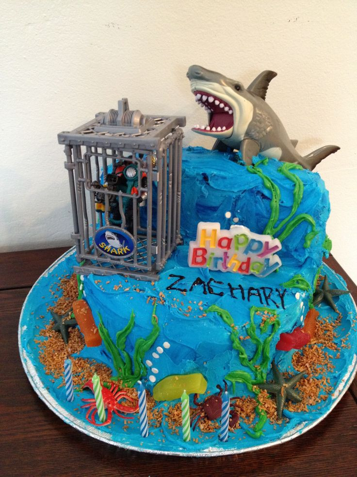 Shark Birthday Cakes
 Shark birthday cake Shark birthday party